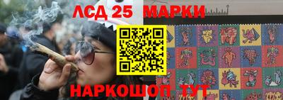 ПСИЛОЦИБИНОВЫЕ ГРИБЫ Шелехов